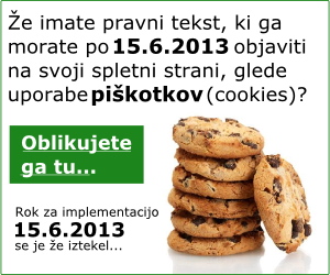 e-obrazec: Izjava in pojasnilo o piškotkih (cookies)